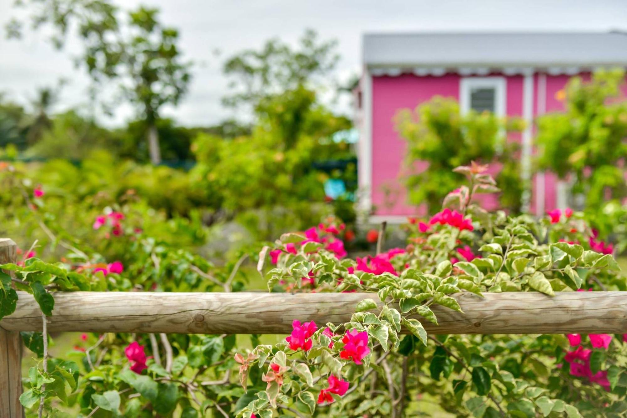 בה-מאולט Les Jardins De Chantilly -Bungalows 4 Etoiles Avec Jardins Et Piscines Privees חדר תמונה